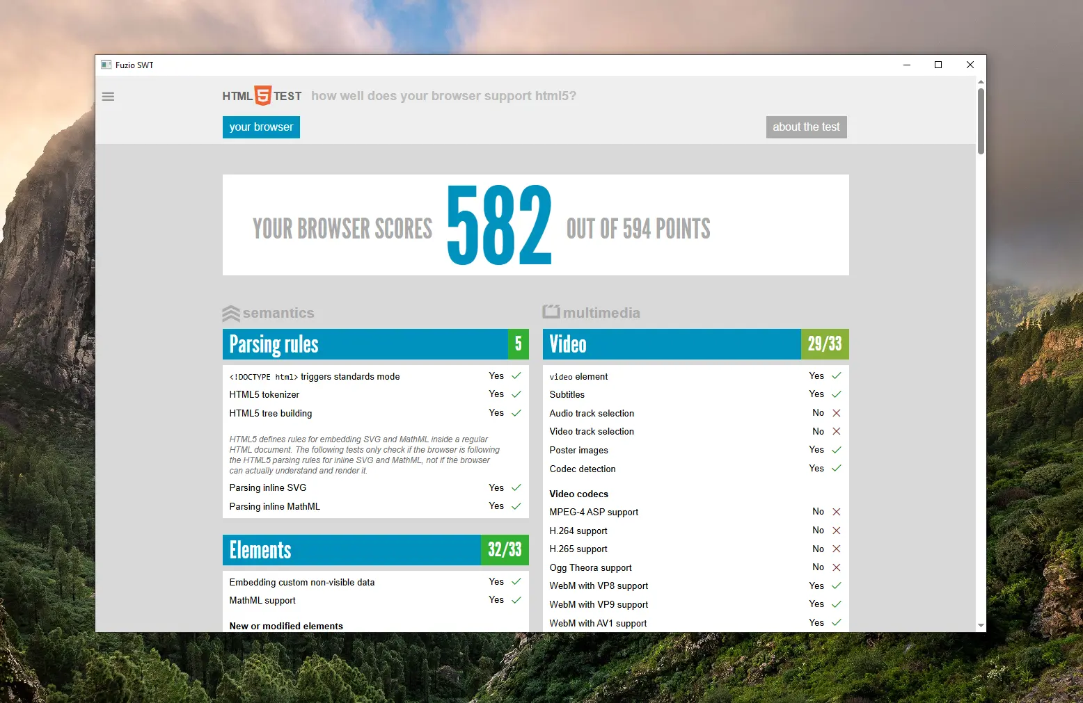 SWT BrowserView